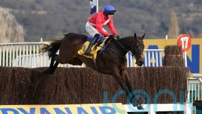 Dominant Allaho delivers Ryanair Chase double