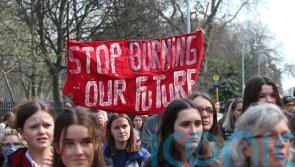 Hundreds gather for protests across Ireland as part of global climate strike