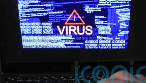 &lsquo;Low&rsquo; threat of cyber attack on Ireland but ransomware risk is high, says top official