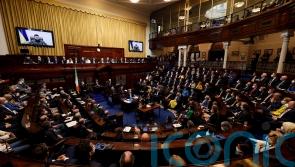 'His country is going through hell' - TDs refusing to clap for Zelensky speech criticised