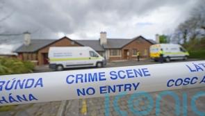 Suspect remains in custody as gardai continue to probe murders of two men