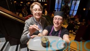 Bewley&rsquo;s 20-year cake mystery solved 