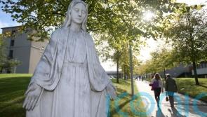 Ryan expects Cabinet to sign-off on new maternity hospital after 'a lot of clarification'