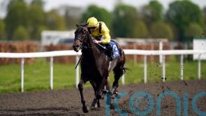 Royal Ascot next for German Guineas hero Maljoom