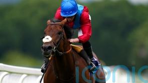 Bay Bridge just brilliant in Brigadier Gerard