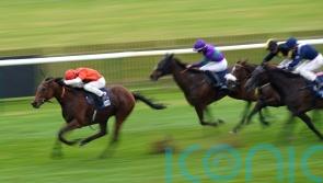 Coakley seeking further Pinnacle gains with Nell Quickly