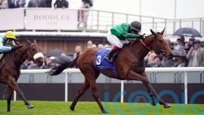 Absolutelyflawless firmly in trophy hunt at Beverley