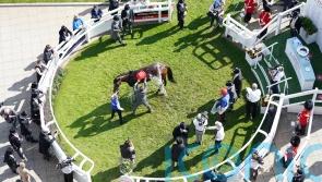 Dry forecast and watering for Epsom ahead of Derby meeting