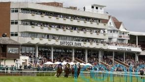 Haydock officials confident Saturday card will take place