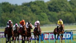 Sea La Rosa hits Pinnacle heights at Haydock