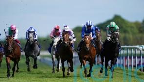 Pogo sticks to his guns for John Of Gaunt victory