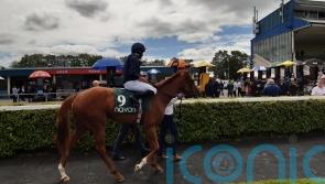 Regally-bred Statuette makes striking debut at Navan