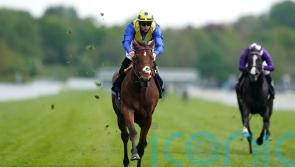 Dante hero Desert Crown leads Derby confirmations