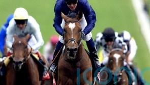 Galileo triumphs in public vote to join Hall of Fame