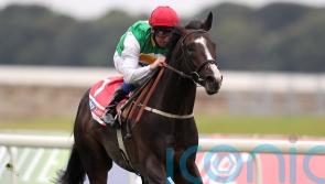 Pyledriver &lsquo;in the right place&rsquo; for Coronation Cup repeat
