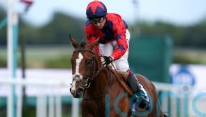 Imperial Fighter ready for Prix du Jockey Club battle