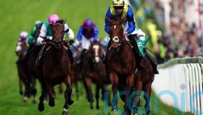 Desert Crown in top shape after Derby heroics