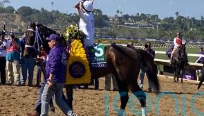 Ward puts maximum faith in Ortiz Jr for Ascot mounts