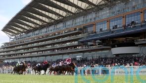 Sprinting big guns all set for King&rsquo;s Stand showdown