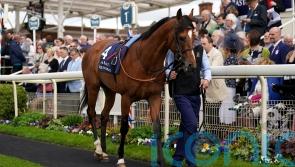 Plans fluid for El Bodegon after fine French Derby performance