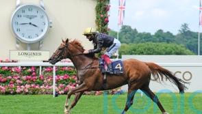 Stradivarius back in the ring for another shot at Gold Cup glory