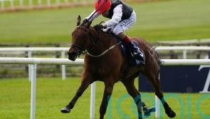 Classic fillies all set for Coronation Stakes not to be missed