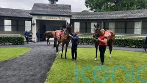 Sierra Nevada untroubled by namesake at Gowran Park