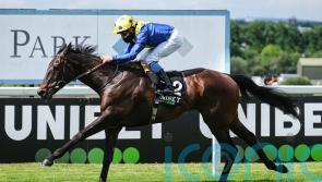 Solid Stone added to Hardwicke field