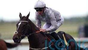 Burke sets sail for Queen Mary glory at Ascot