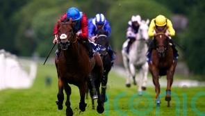 Brilliant Bay out to bridge gap to Group One company