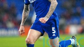 Cardiff defender Aden Flint makes Stoke switch on one-year deal