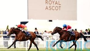 State Of Rest is Wales&rsquo;s wonder for O&rsquo;Brien and Crosse