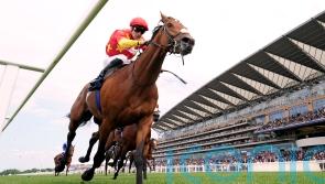 Royal Ascot day two &ndash; in pictures