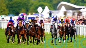 Dark Shift is Royal Hunt Cup hero