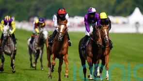 So close but so far for Stradivarius in Gold Cup