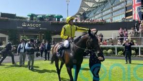 Power just Perfect in Commonwealth Cup