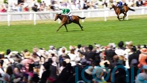 Candleford too hot for Royal Ascot rivals