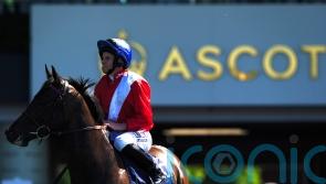 Goodwood option for Twilight Calls