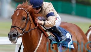 Glen Shiel primed for Chipchase assignment