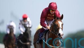 Superlative option for unbeaten juvenile Lion Of War