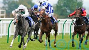 Alpinista pencilled in for Saint-Cloud return