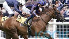 Teresa Mendoza swoops late for Curragh glory