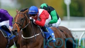 Newmarket spin unlikely for Salisbury scorer Benefit