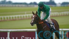 Irish Cesarewitch target for HMS Seahorse