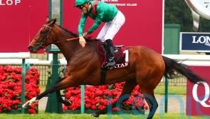 Vadeni ready for what promises to be an epic Eclipse