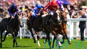 Amo Racing lodge appeal against Norfolk Stakes result