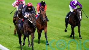 York Stakes the target for Ascot victor Claymore