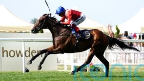 Inspiral tops 11 contenders for Falmouth honours