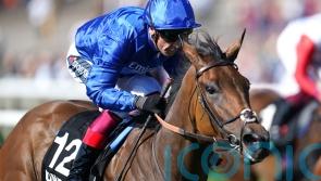 Soft Whisper set for step up in class after Chelmsford win