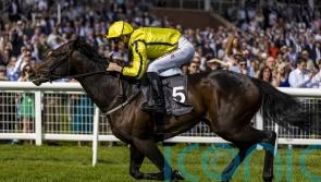 Royal Ascot winners set to clash in July Cup